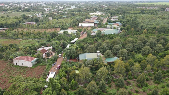 ccdt1