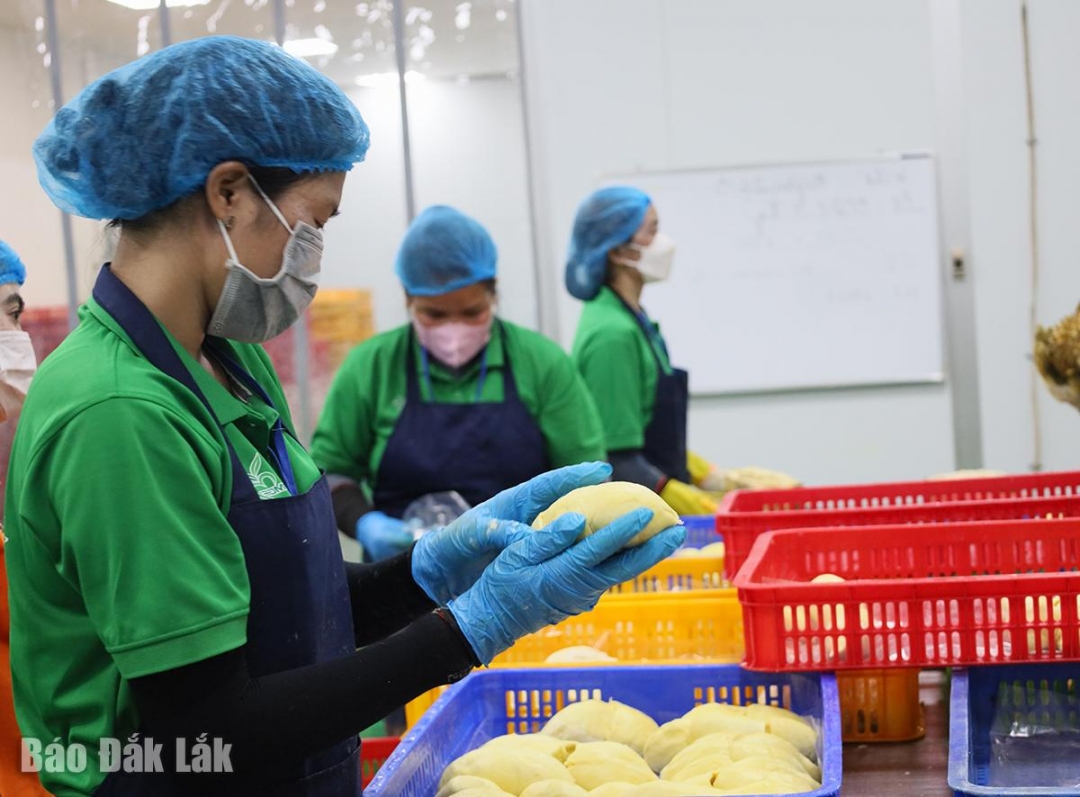 img_5800_20250105193023