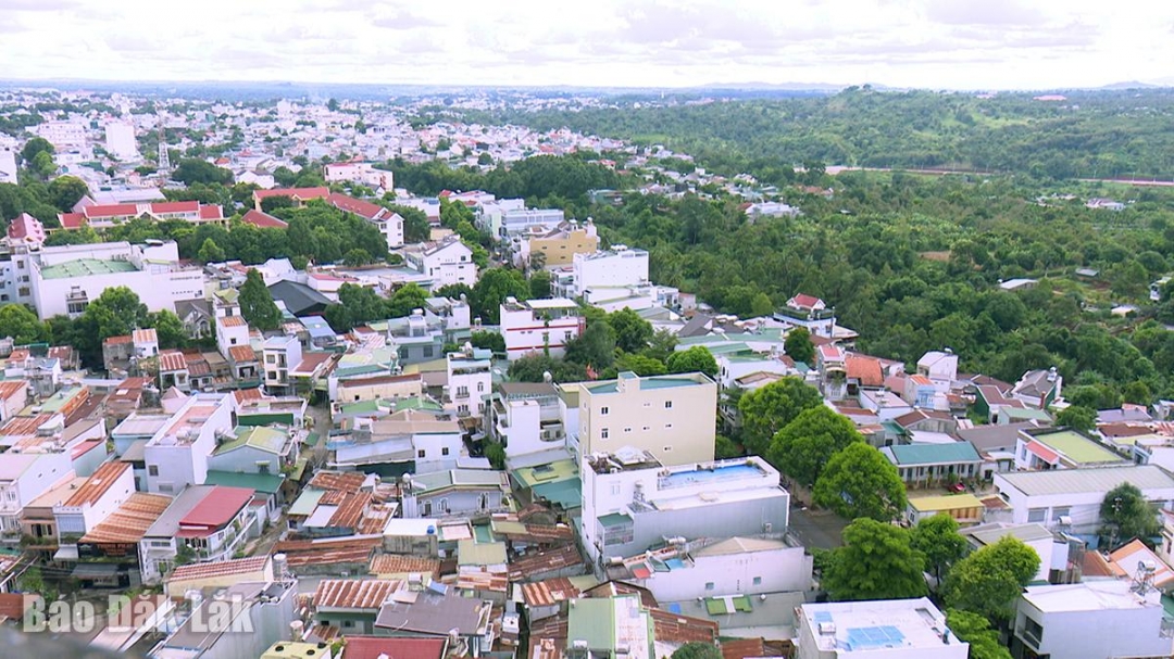 bmt71_20241208185546