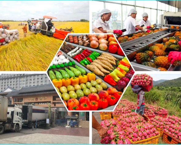 DỰ ÁN NHÀ MÁY CHẾ BIẾN CÁC SẢN PHẨM NÔNG SẢN