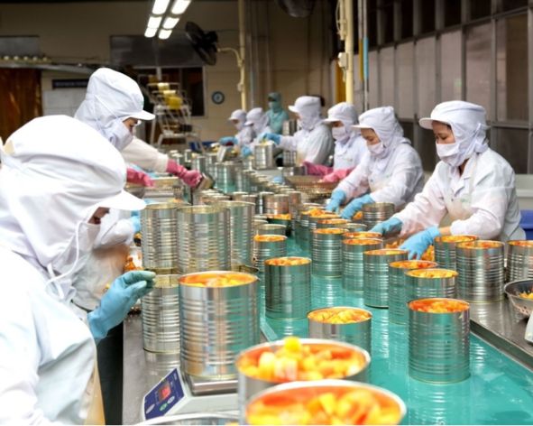 DỰ ÁN NHÀ MÁY CHẾ BIẾN CÁC SẢN PHẨM ĐÔNG LẠNH,  ĐÓNG HỘP XUẤT KHẨU