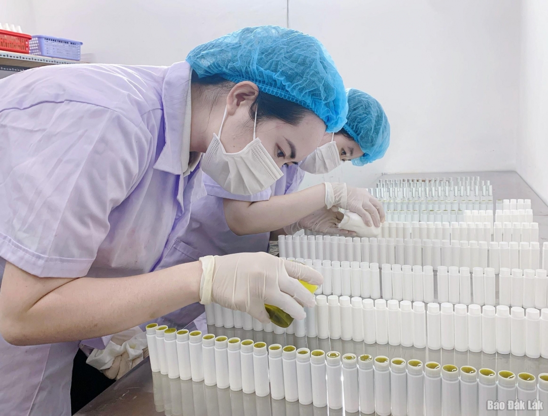 Gần 1,7 tỷ đồng hỗ trợ doanh nghiệp nhỏ và vừa năm 2024