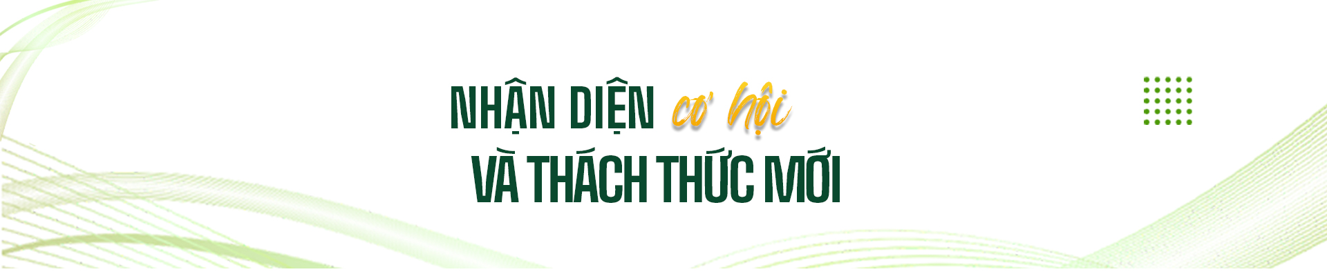 tit_phu_2_edit_20260911090324